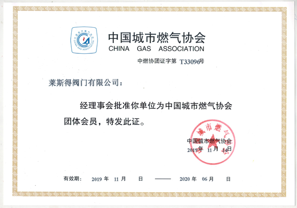 中國城市燃氣協會團隊會員-.jpg